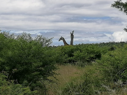  Weenen Nature Reserve