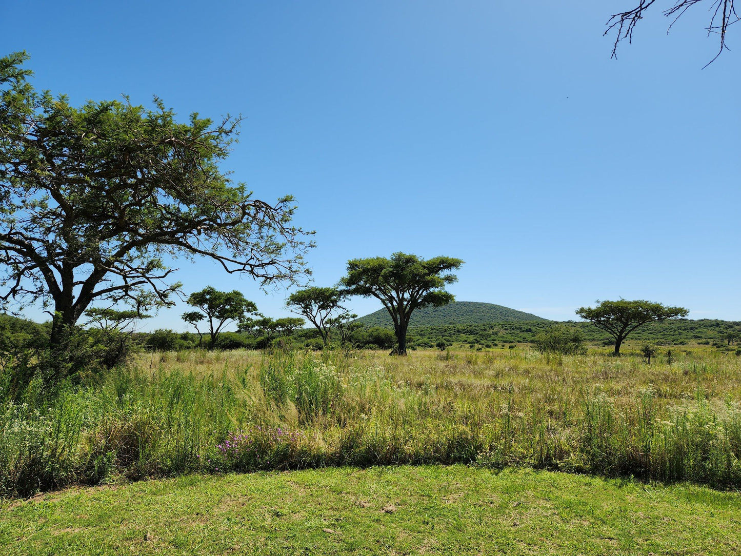  Weenen Nature Reserve