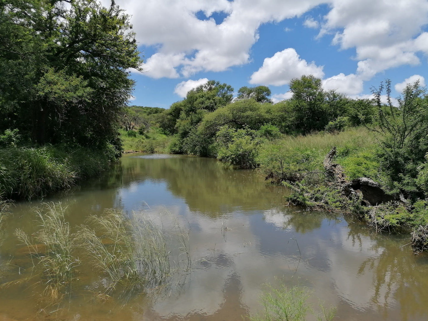  Weenen Nature Reserve