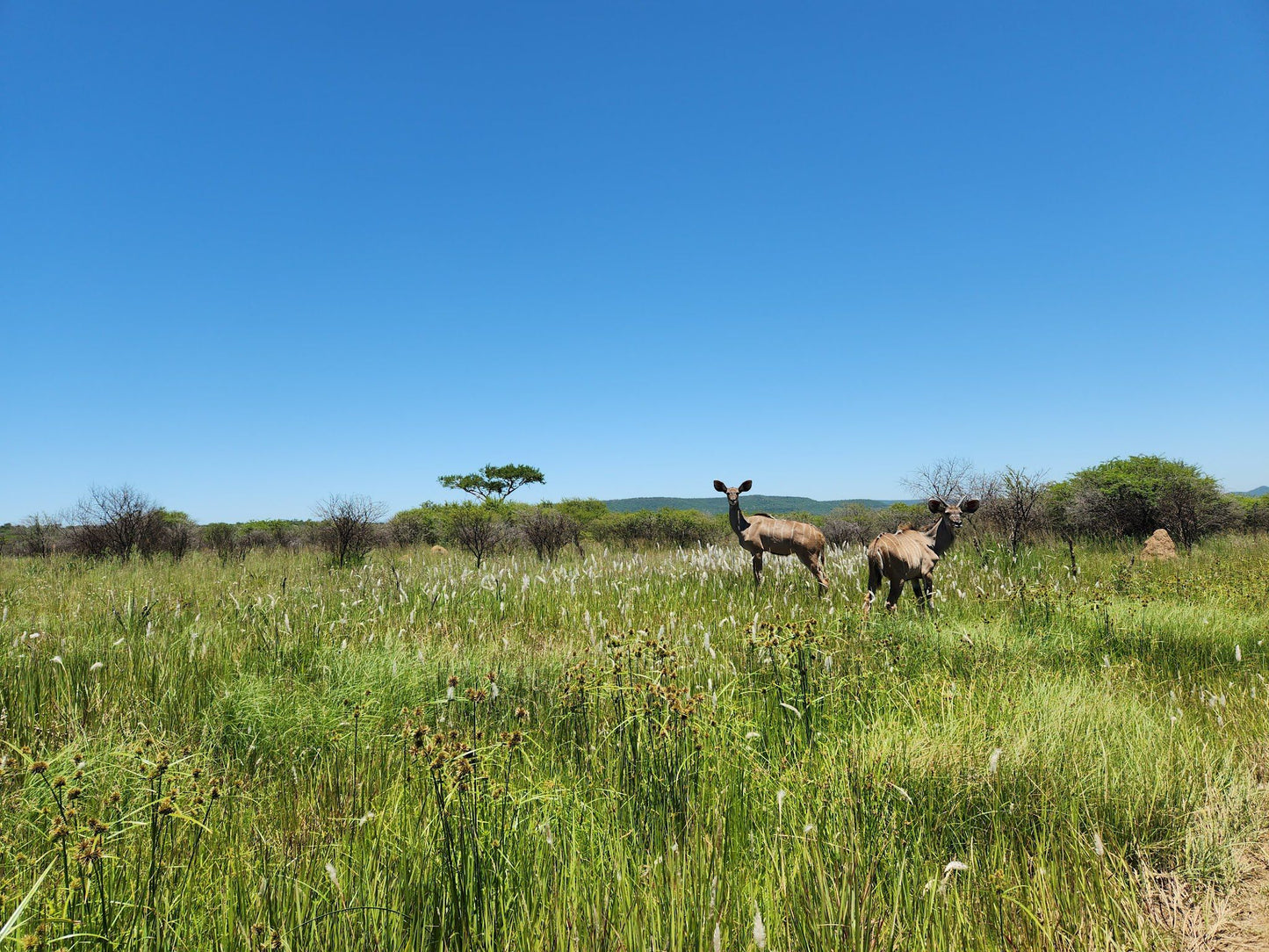  Weenen Nature Reserve