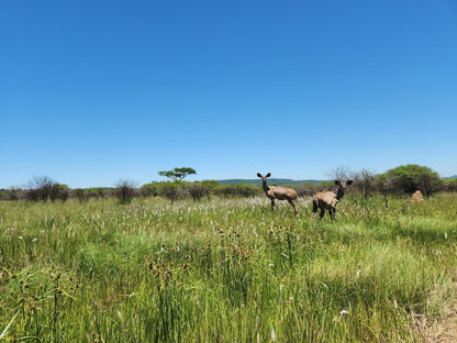  Weenen Nature Reserve