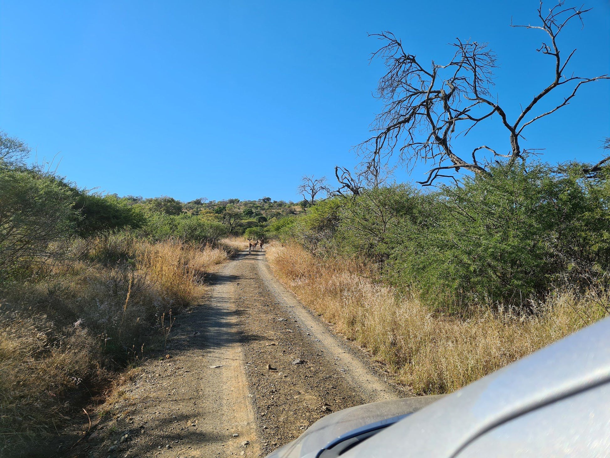  Weenen Nature Reserve