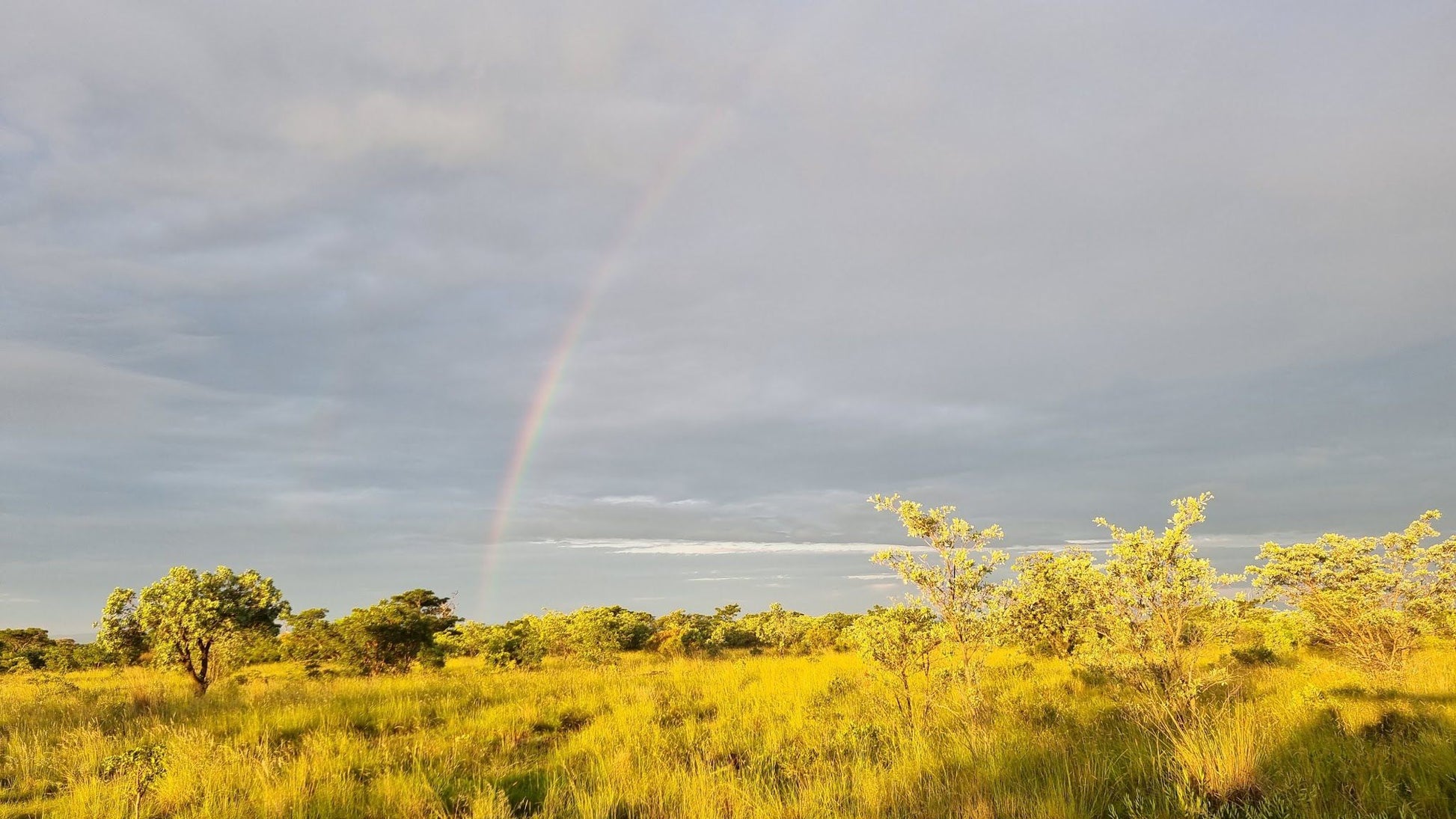  Welgevonden Game Reserve