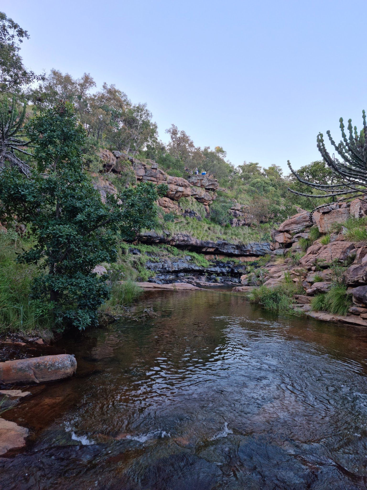  Welgevonden Game Reserve