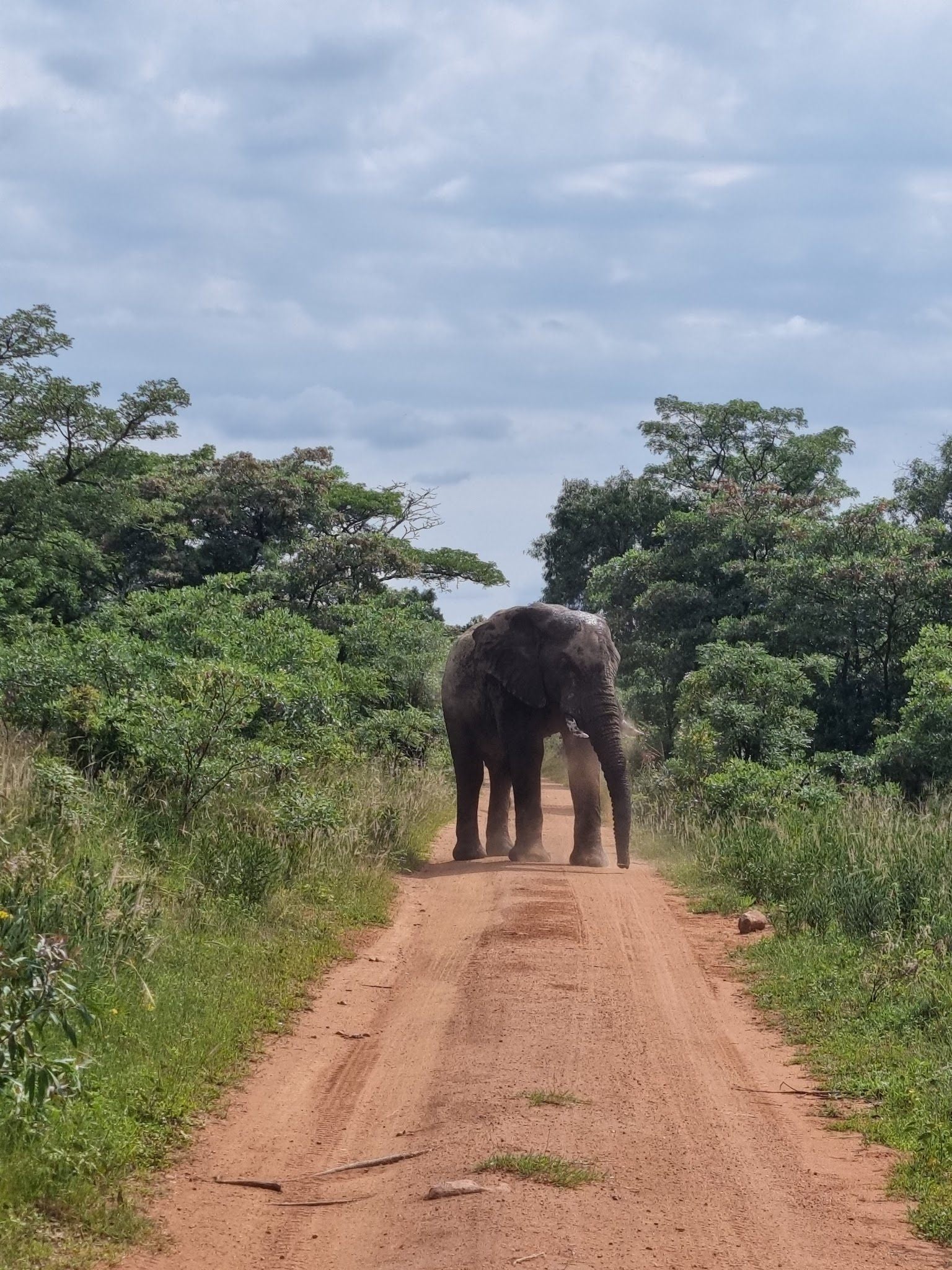  Welgevonden Game Reserve