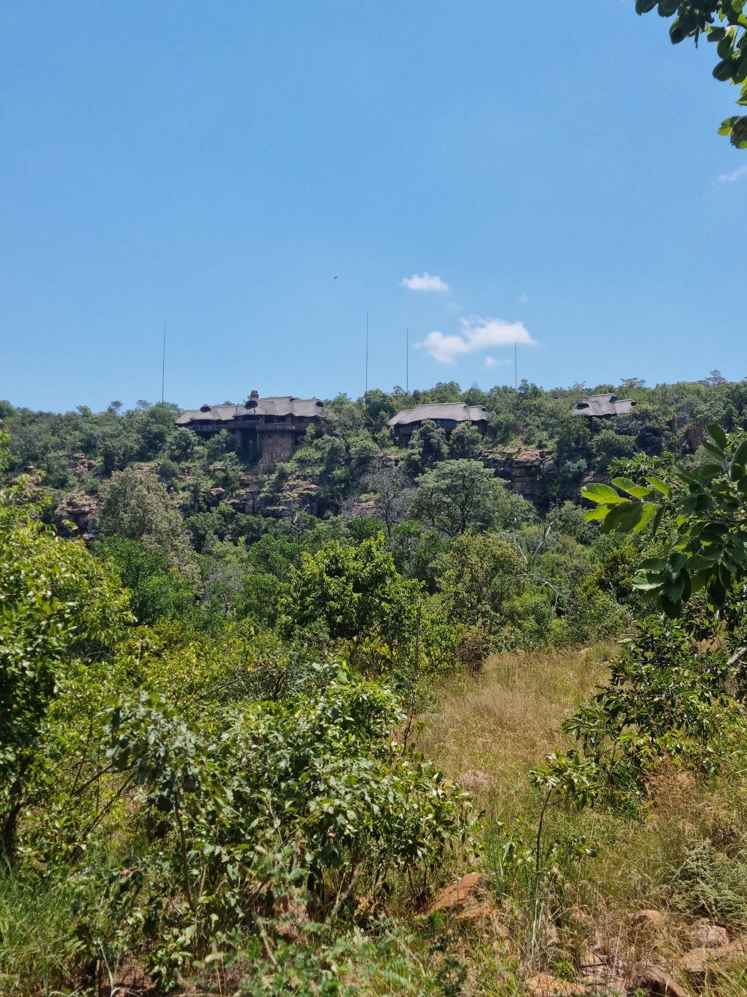  Welgevonden Game Reserve