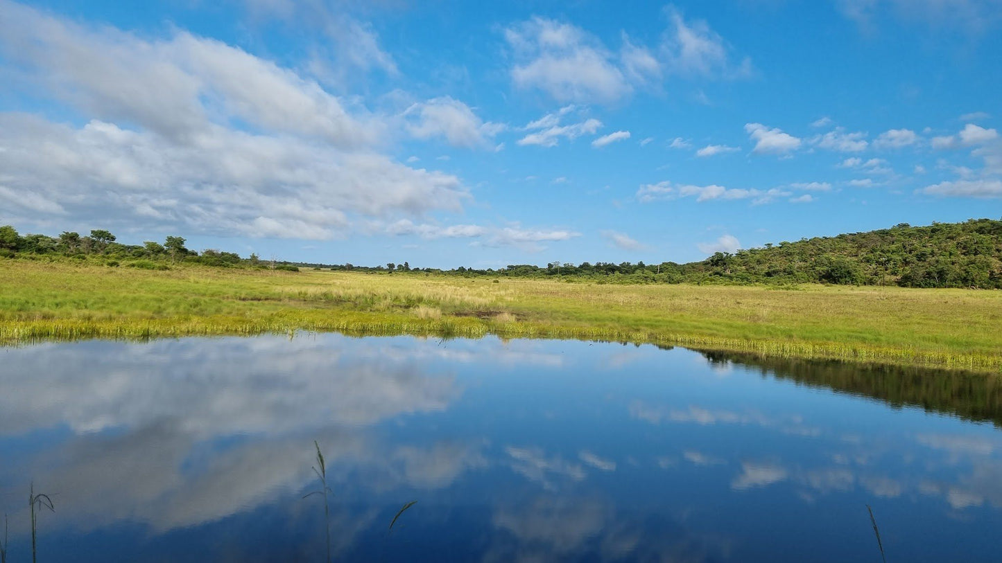  Welgevonden Game Reserve