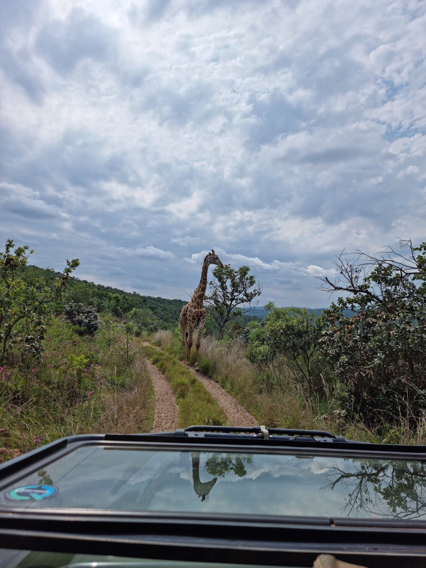  Welgevonden Game Reserve