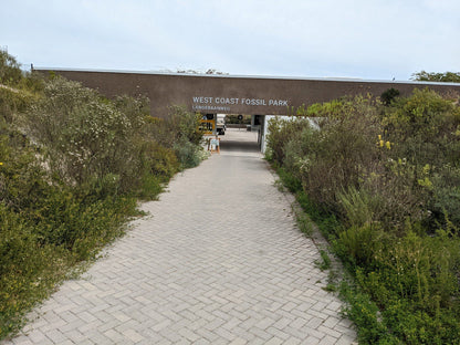  West Coast Fossil Park