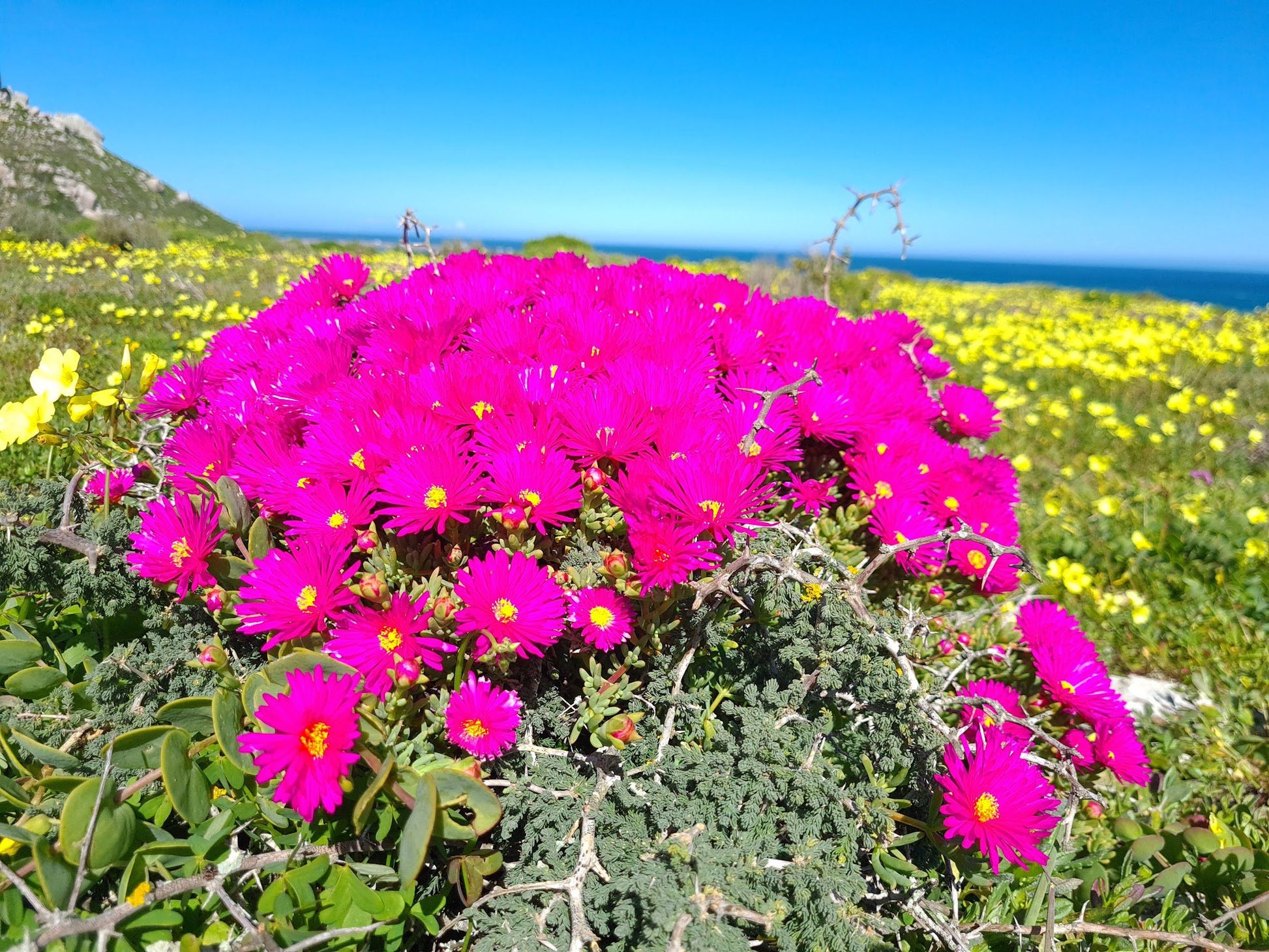  West Coast National Park Marine Protected Area