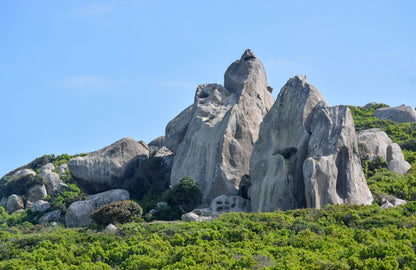  West Coast National Park Marine Protected Area