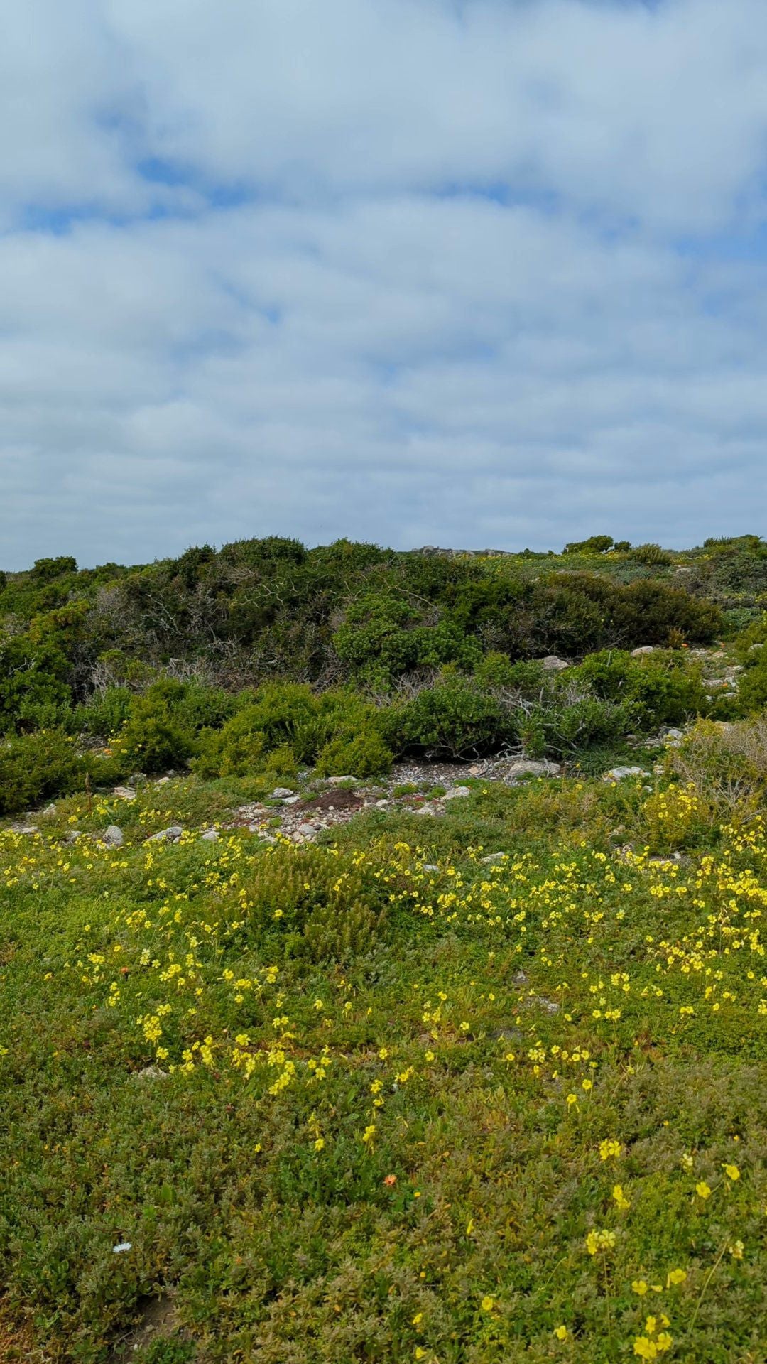  West Coast National Park Marine Protected Area