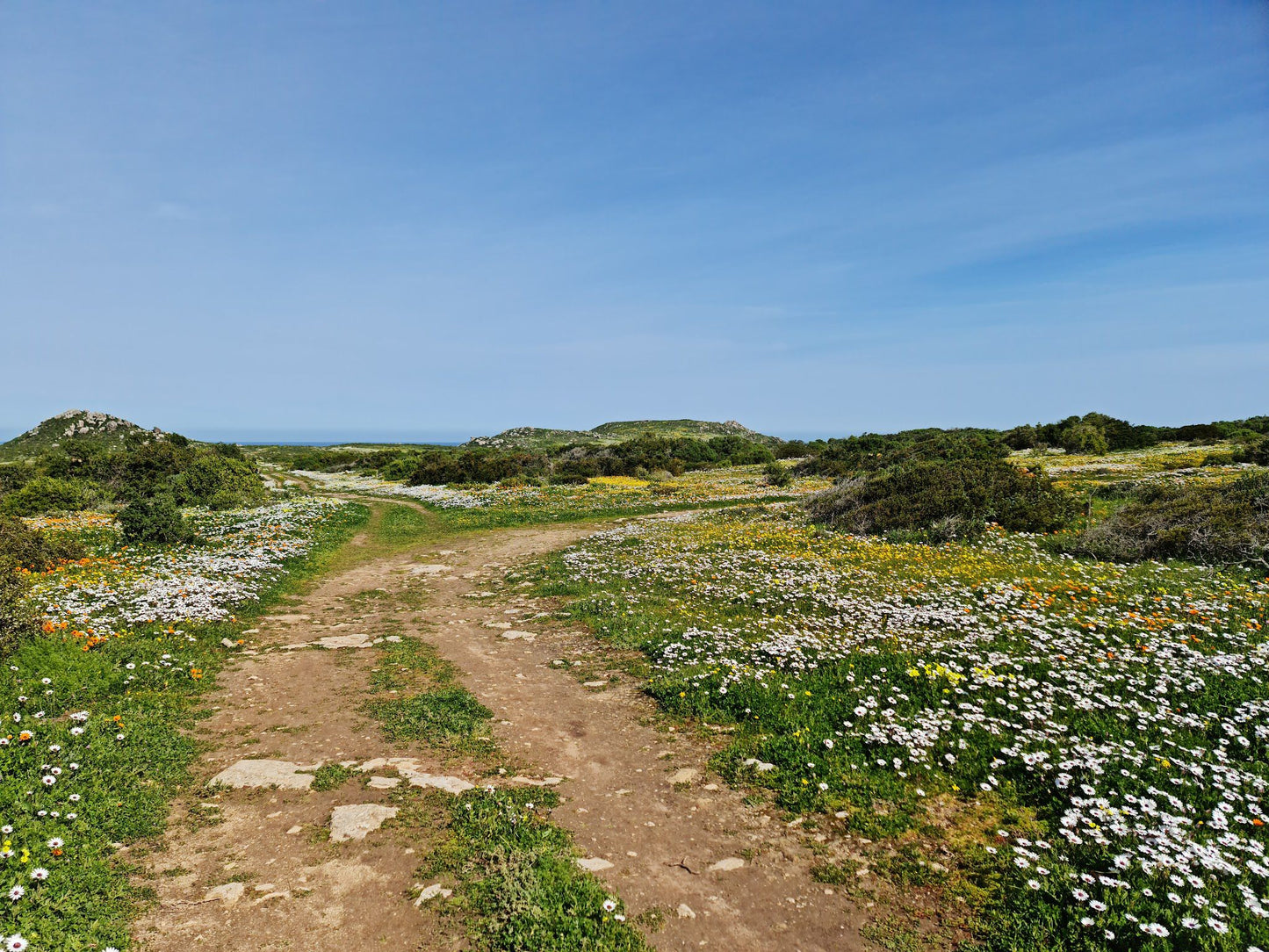  West Coast National Park Marine Protected Area