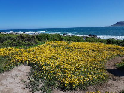  West Coast National Park Marine Protected Area