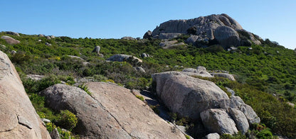  West Coast National Park Marine Protected Area