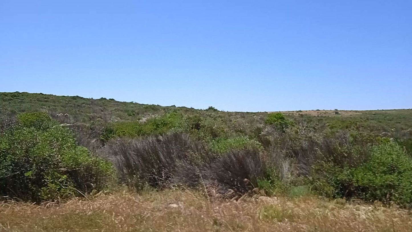  West Coast National Park Marine Protected Area