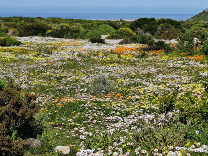  West Coast National Park Marine Protected Area