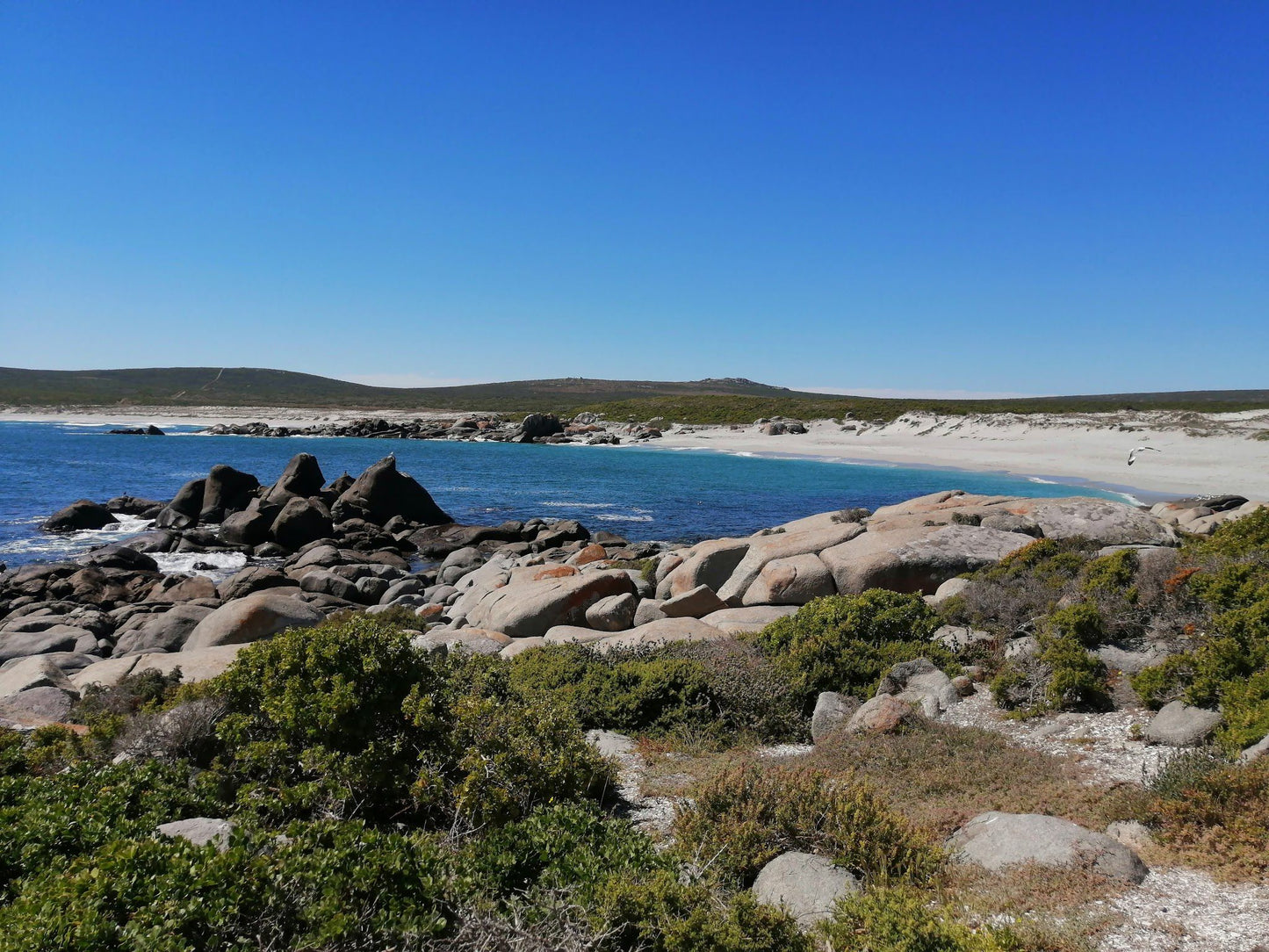  West Coast National Park Marine Protected Area