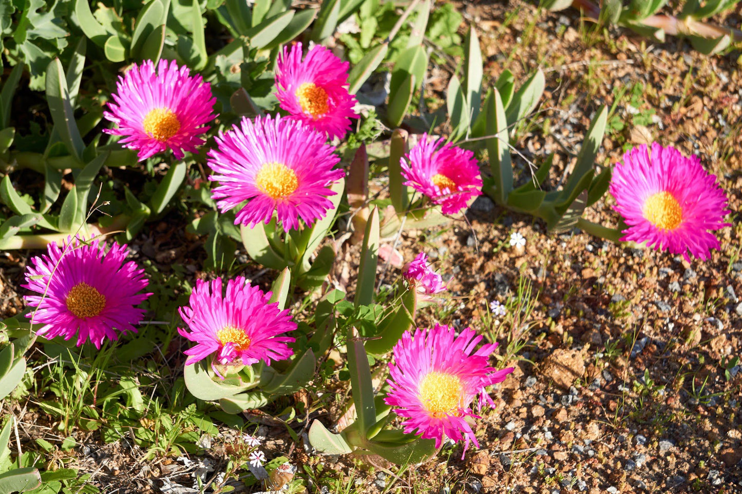  West Coast National Park Marine Protected Area