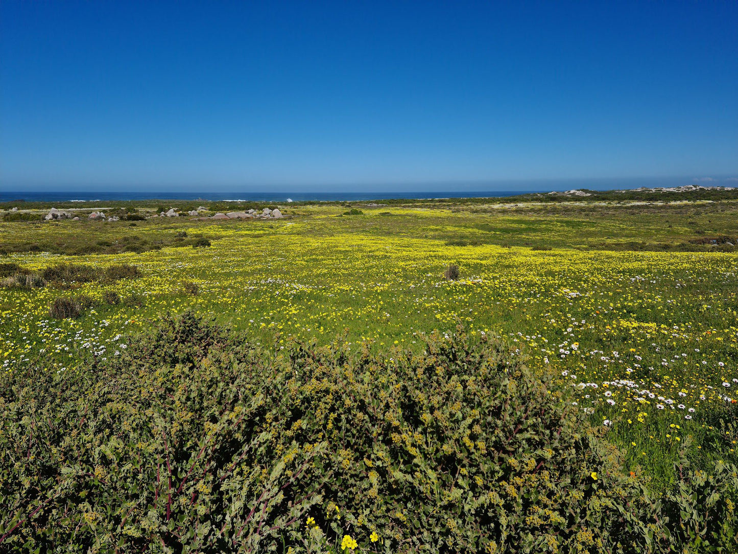  West Coast National Park Marine Protected Area