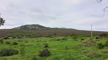  West Coast National Park Marine Protected Area