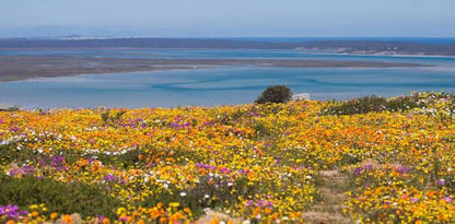  West Coast National Park