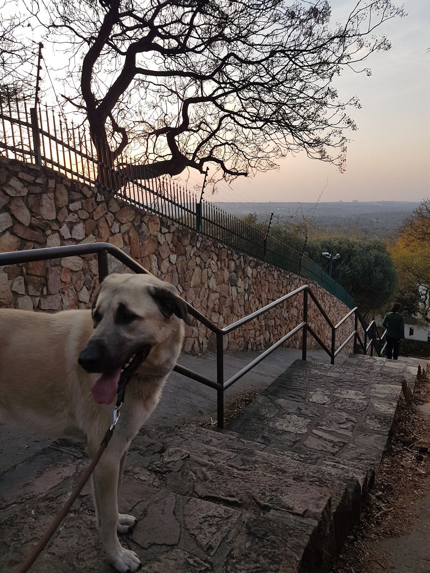  Westcliff Stairs