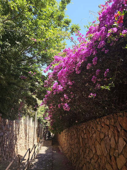  Westcliff Stairs