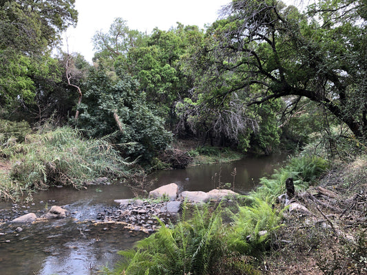  Wild Rivers Private Nature Reserve