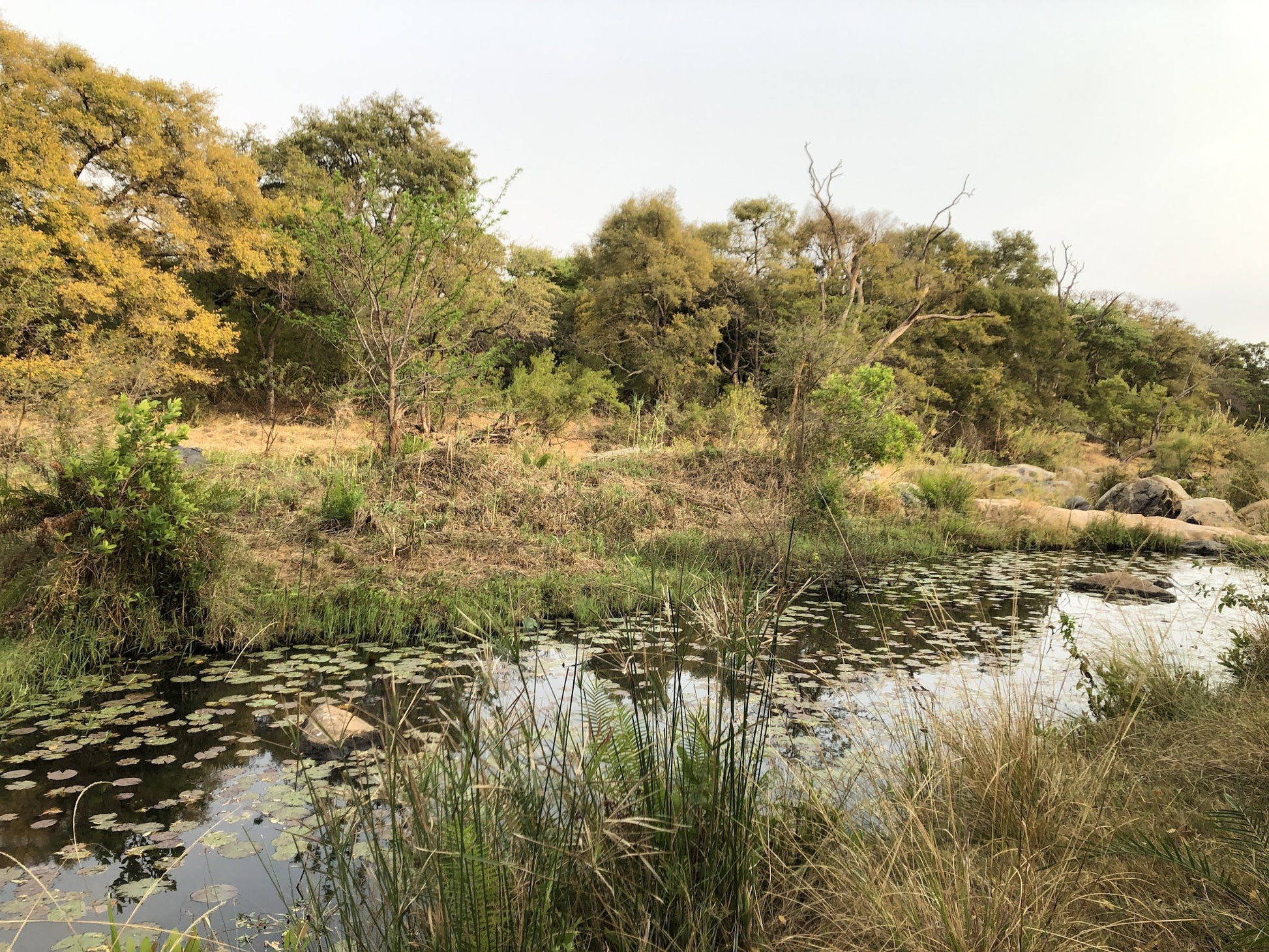  Wild Rivers Private Nature Reserve