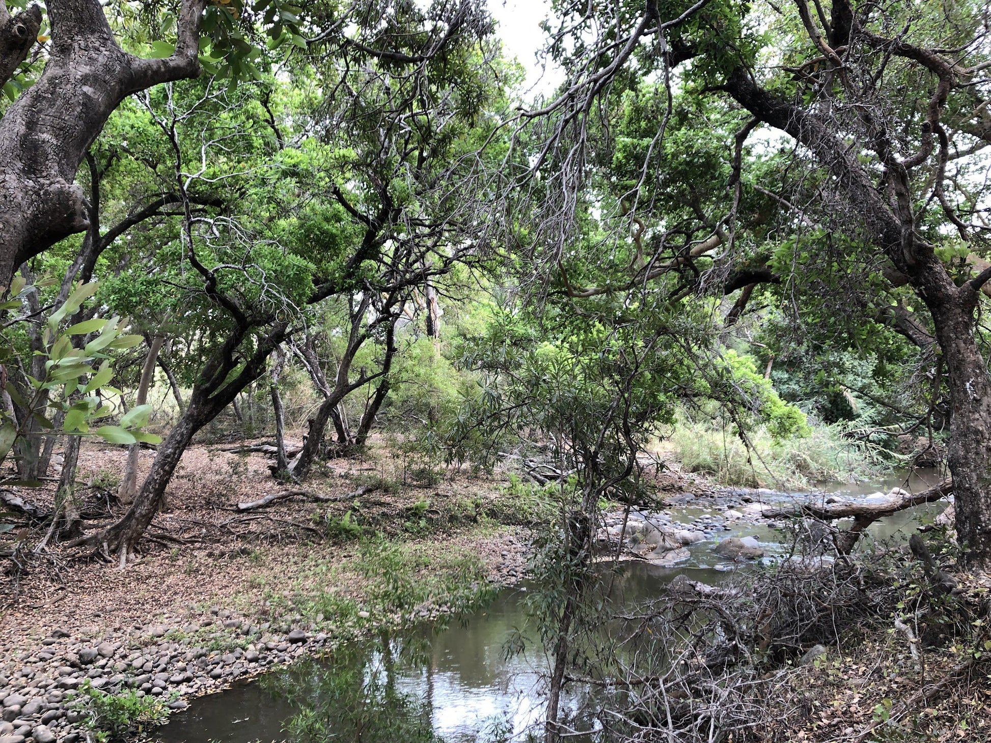  Wild Rivers Private Nature Reserve