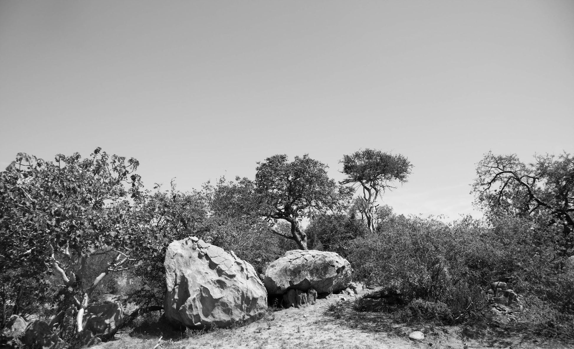  Wild Rivers Private Nature Reserve