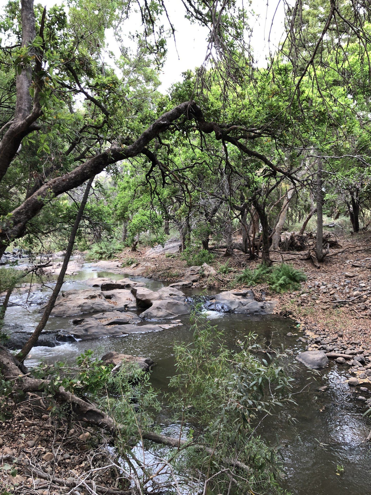  Wild Rivers Private Nature Reserve