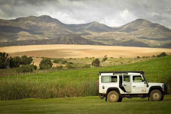  Wildekrans Wine Estate