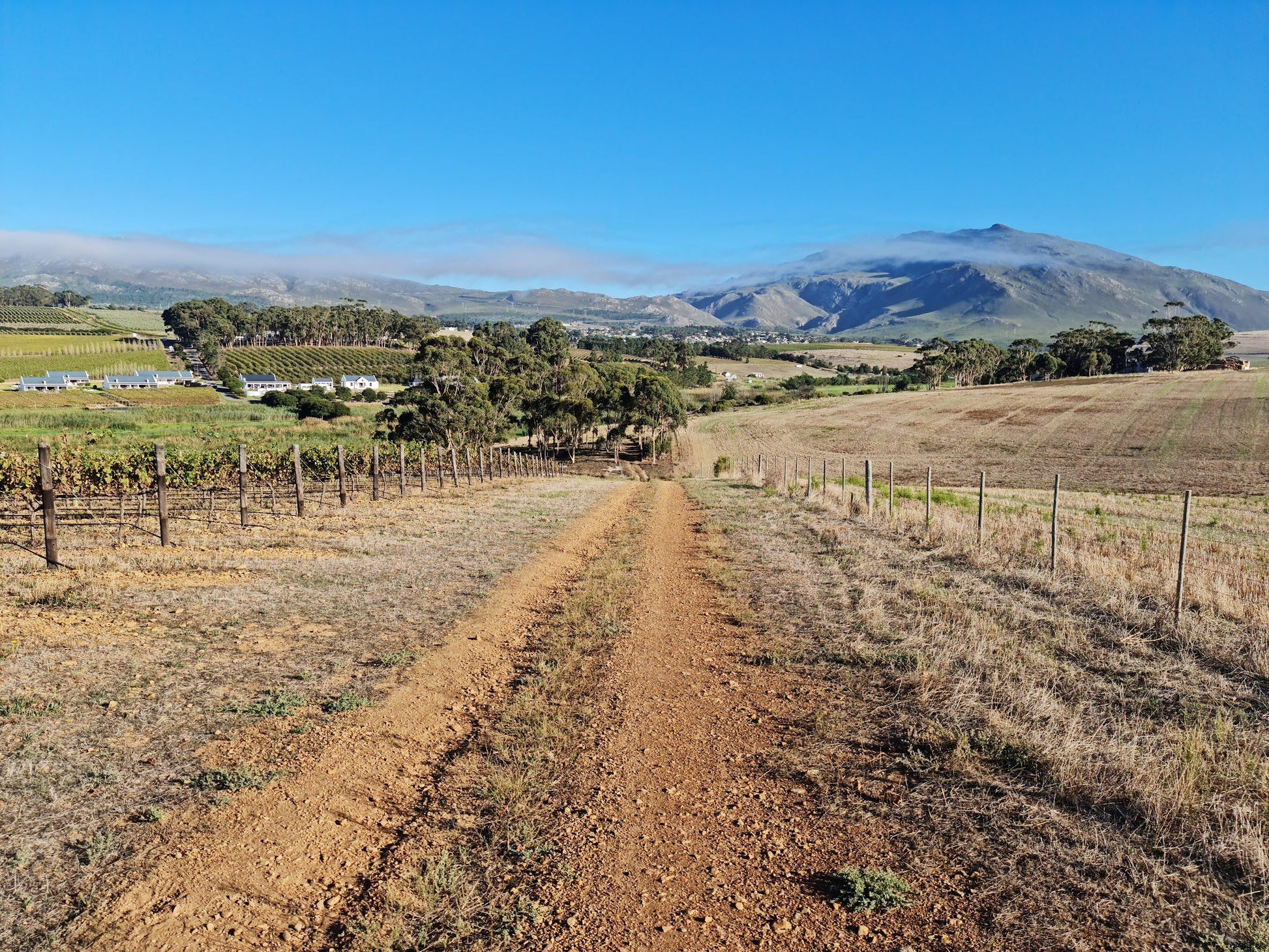  Wildekrans Wine Estate