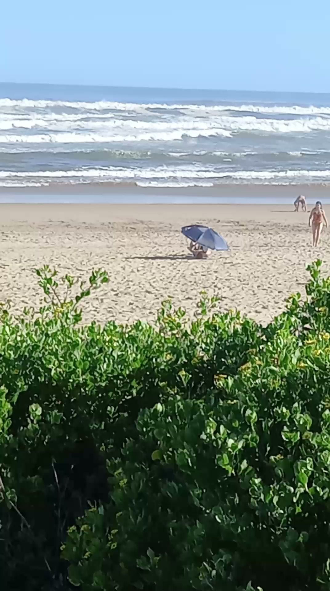  Wilderness Beach