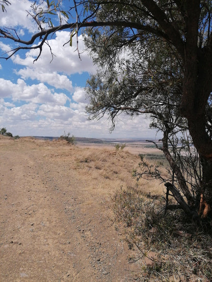  Willem Pretorius Game Reserve