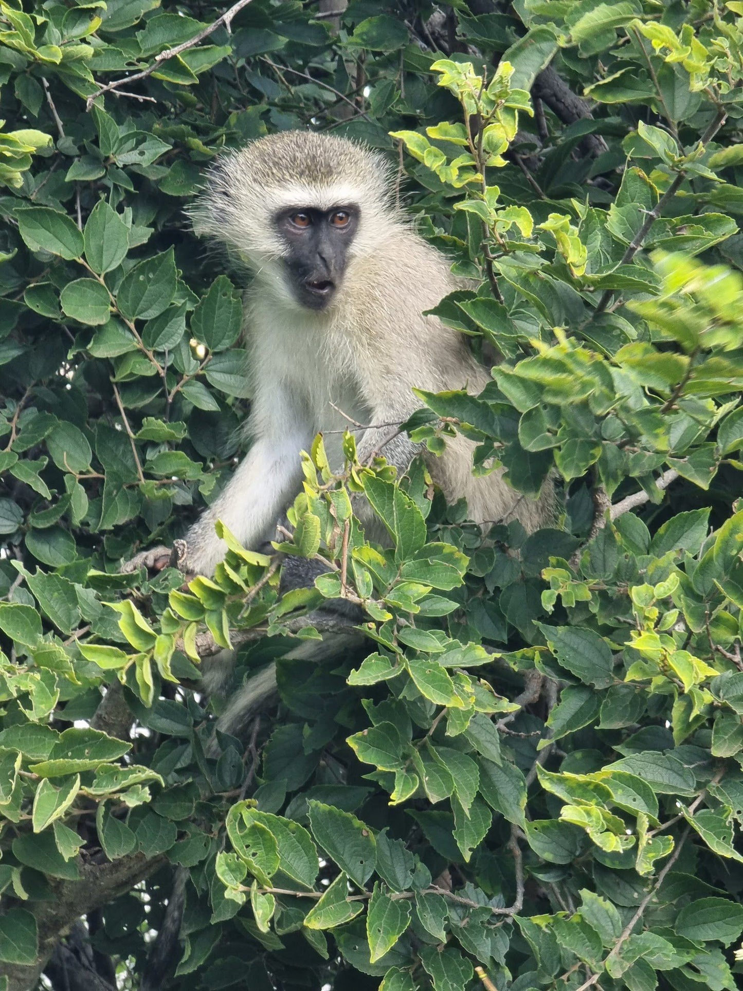  Willem Pretorius Game Reserve