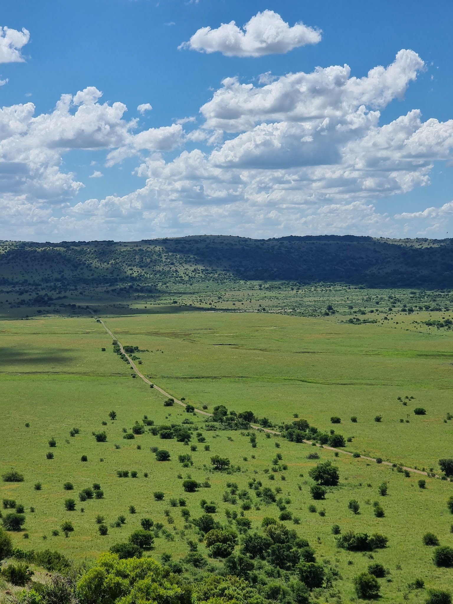  Willem Pretorius Game Reserve