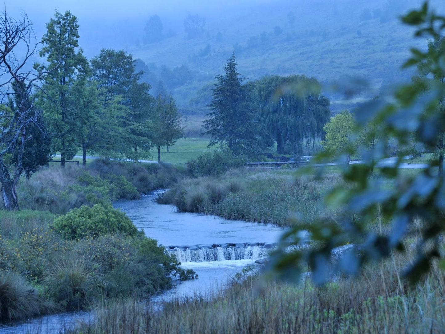 Willow Weir Cottage Dullstroom Mpumalanga South Africa River, Nature, Waters, Tree, Plant, Wood