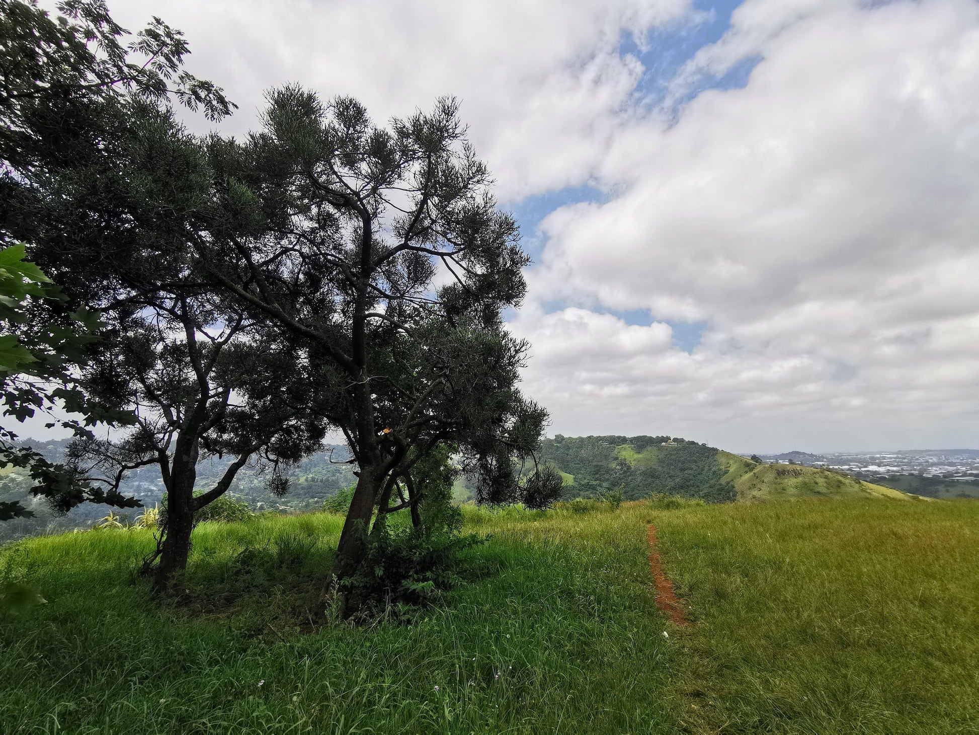  Winston Park Eastern View Point