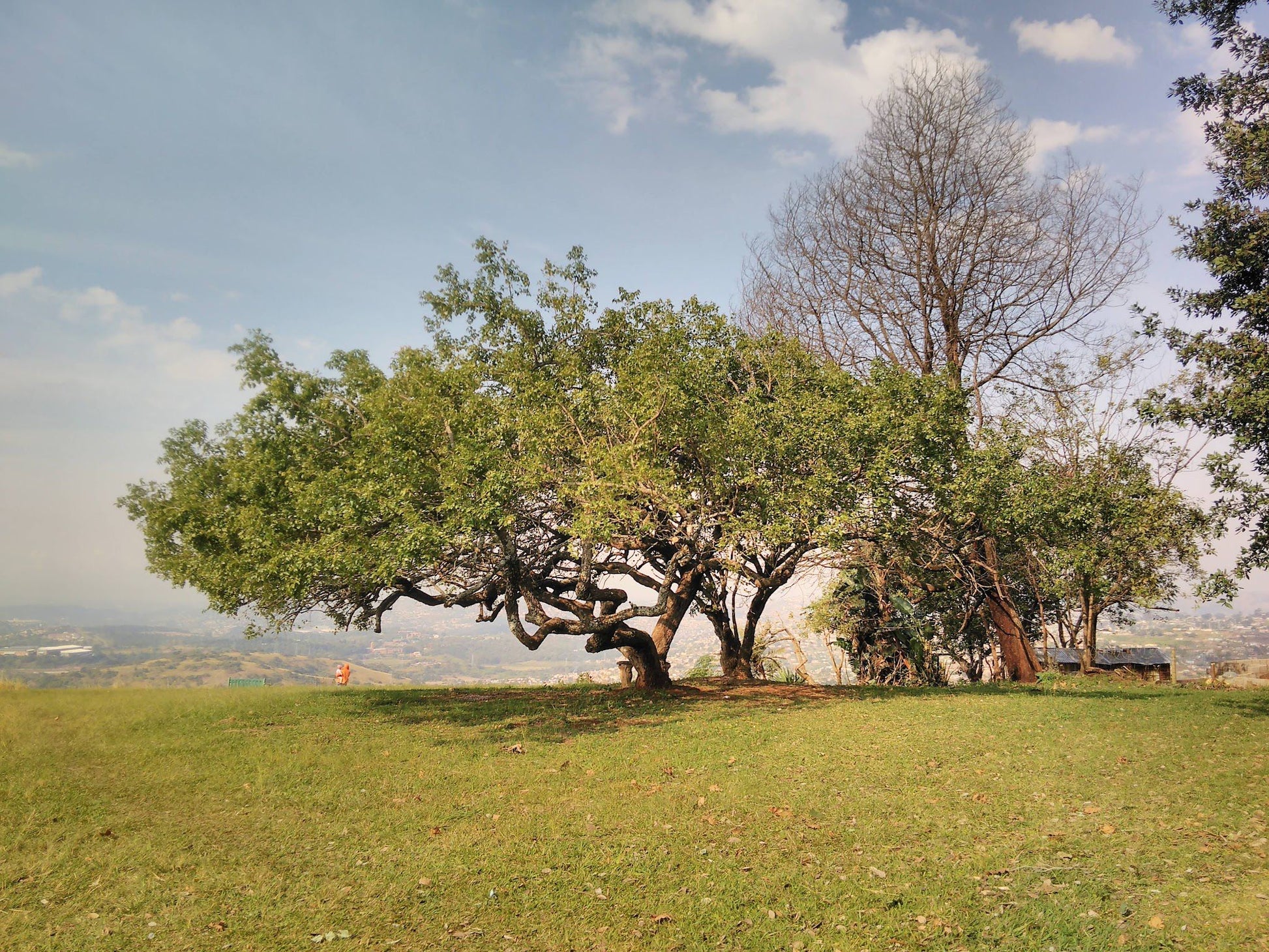  Winston Park Eastern View Point