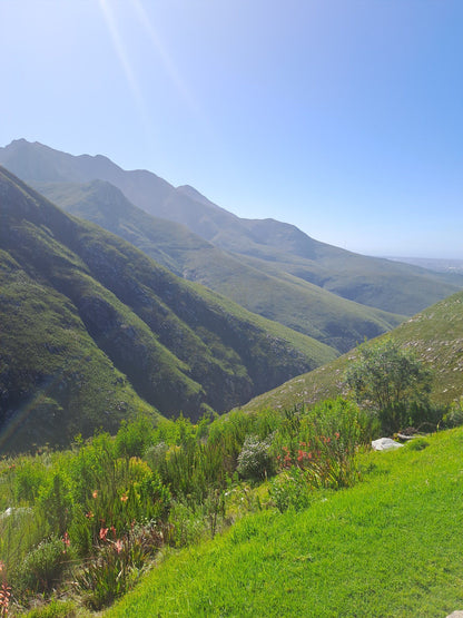  Witfontein Nature Reserve