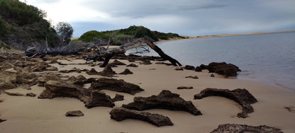 Witsand Nature Reserve