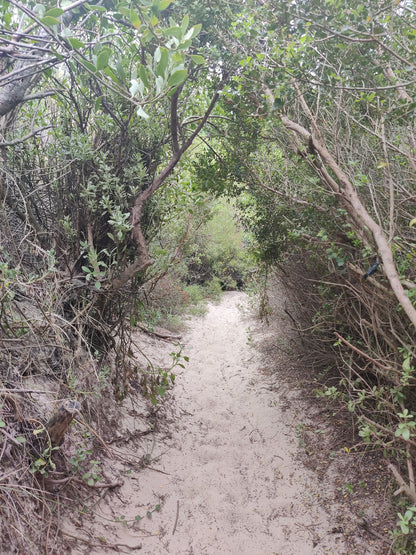 Witsand Nature Reserve