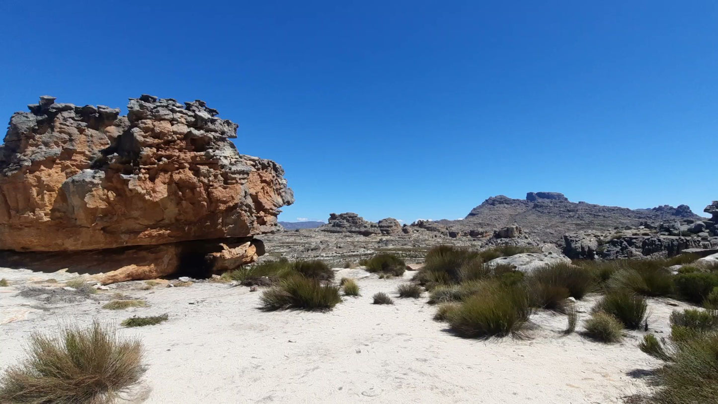 Wolfberg Arch