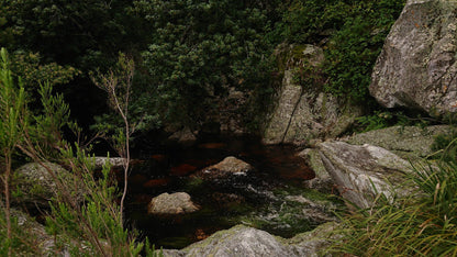 Wolfkloof Hikers Hut