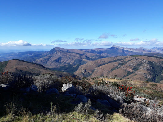  Woodbush Forest Reserve