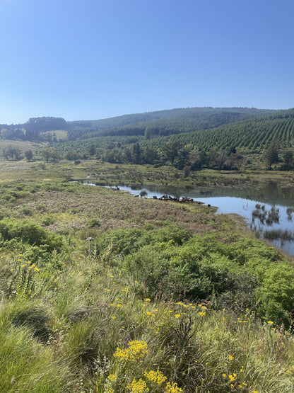  Woodbush Forest Reserve