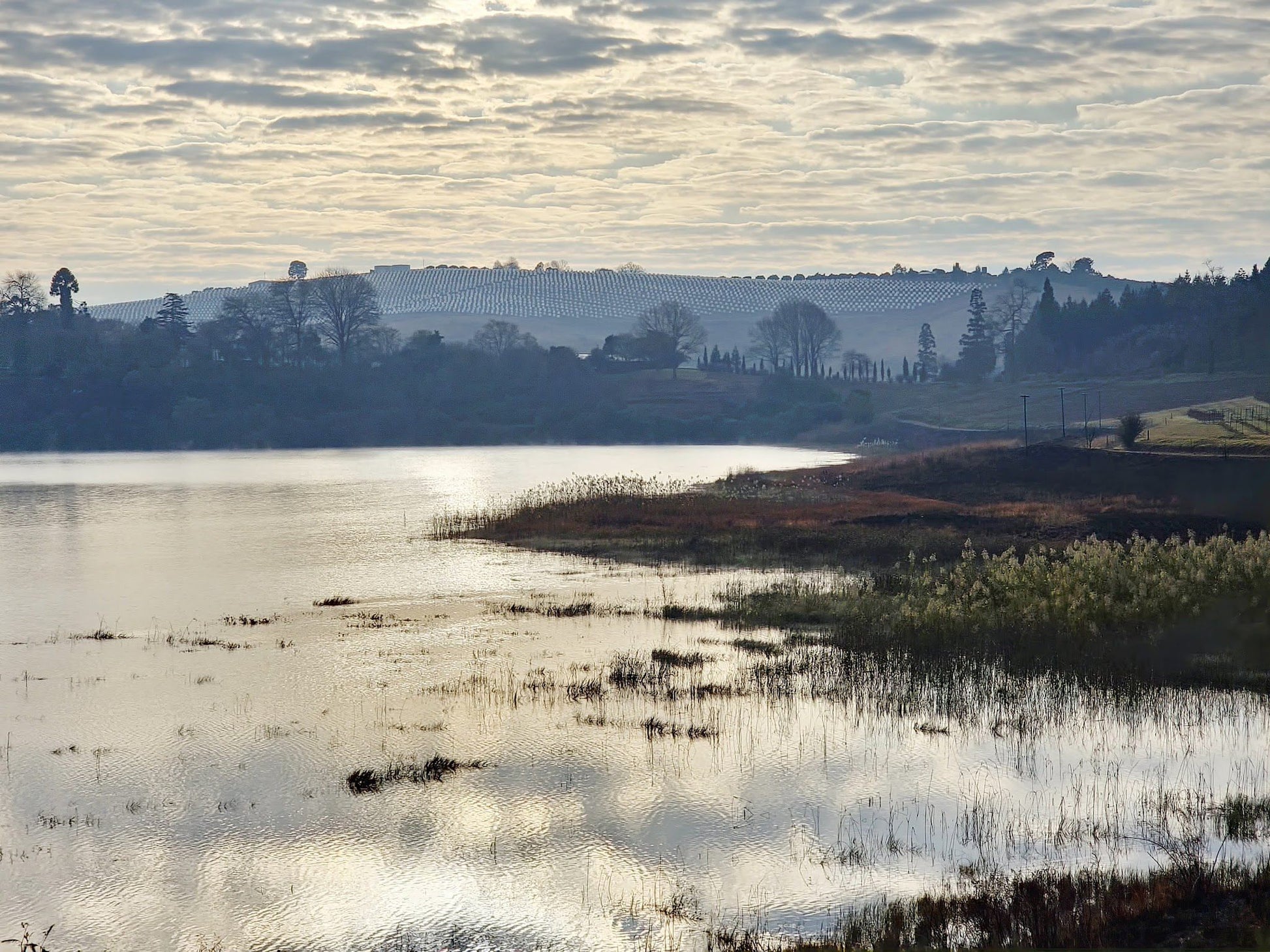  Woodbush Forest Reserve